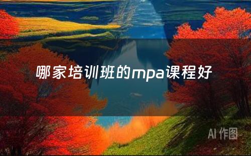 哪家培训班的mpa课程好 