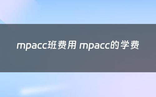 mpacc班费用 mpacc的学费