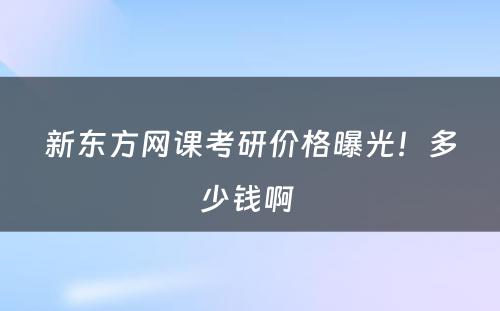 新东方网课考研价格曝光！多少钱啊 