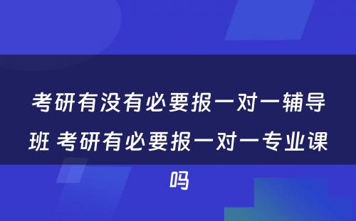 考研有没有必要报一对一辅导班 考研有必要报一对一专业课吗