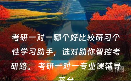 考研一对一哪个好比较研习个性学习助手，选对助你智控考研路。 考研一对一专业课辅导平台