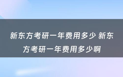 新东方考研一年费用多少 新东方考研一年费用多少啊