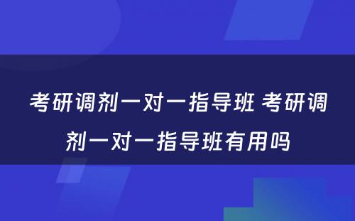 考研调剂一对一指导班 考研调剂一对一指导班有用吗