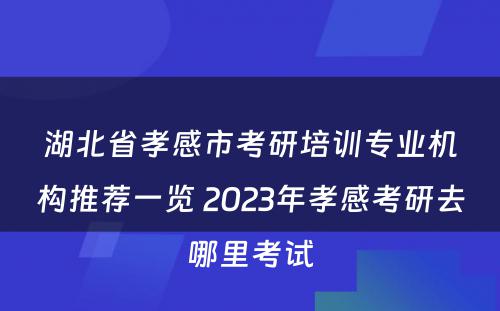 湖北省孝感市考研培训专业机构推荐一览 2023年孝感考研去哪里考试