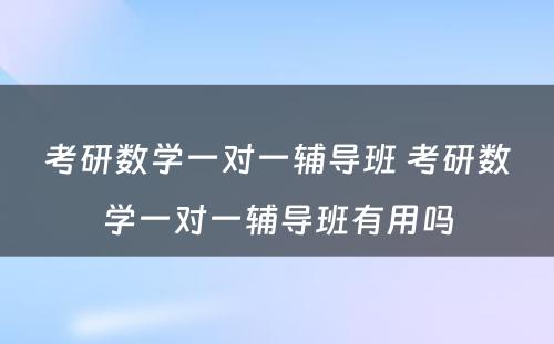 考研数学一对一辅导班 考研数学一对一辅导班有用吗