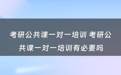 考研公共课一对一培训 考研公共课一对一培训有必要吗