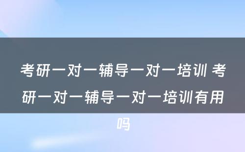 考研一对一辅导一对一培训 考研一对一辅导一对一培训有用吗