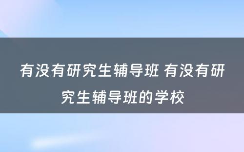 有没有研究生辅导班 有没有研究生辅导班的学校