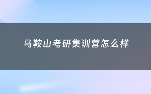 马鞍山考研集训营怎么样