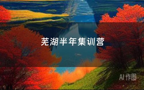 芜湖半年集训营