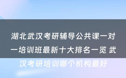 湖北武汉考研辅导公共课一对一培训班最新十大排名一览 武汉考研培训哪个机构最好