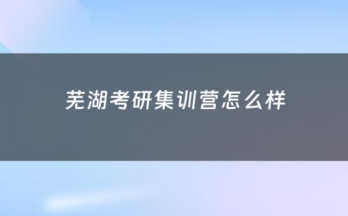 芜湖考研集训营怎么样