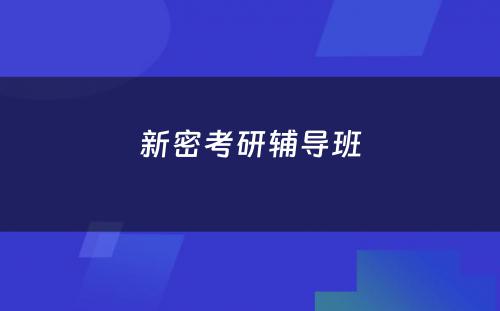 新密考研辅导班