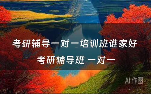 考研辅导一对一培训班谁家好 考研辅导班 一对一