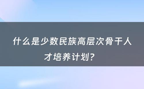 什么是少数民族高层次骨干人才培养计划？ 