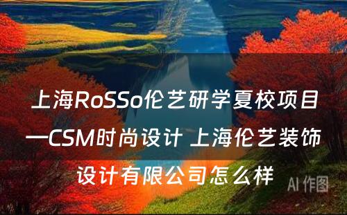 上海RoSSo伦艺研学夏校项目—CSM时尚设计 上海伦艺装饰设计有限公司怎么样