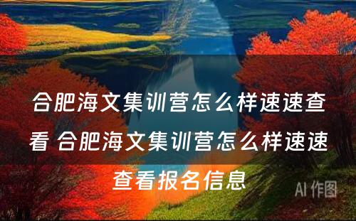 合肥海文集训营怎么样速速查看 合肥海文集训营怎么样速速查看报名信息