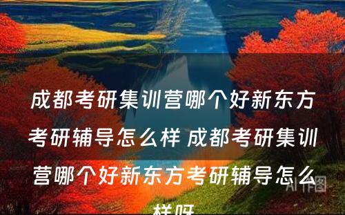 成都考研集训营哪个好新东方考研辅导怎么样 成都考研集训营哪个好新东方考研辅导怎么样呀