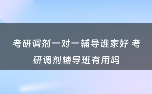 考研调剂一对一辅导谁家好 考研调剂辅导班有用吗