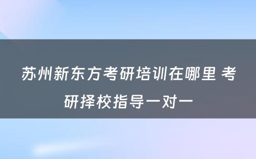 苏州新东方考研培训在哪里 考研择校指导一对一