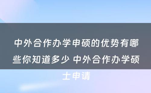 中外合作办学申硕的优势有哪些你知道多少 中外合作办学硕士申请