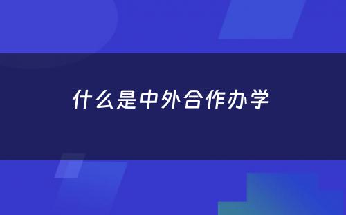 什么是中外合作办学 