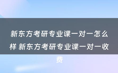 新东方考研专业课一对一怎么样 新东方考研专业课一对一收费