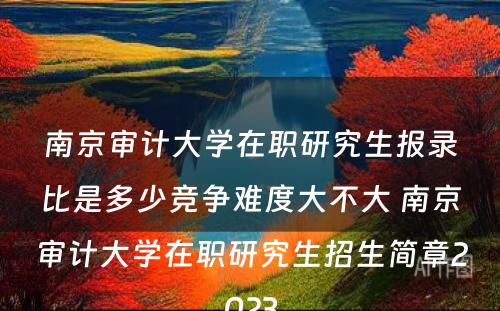 南京审计大学在职研究生报录比是多少竞争难度大不大 南京审计大学在职研究生招生简章2023