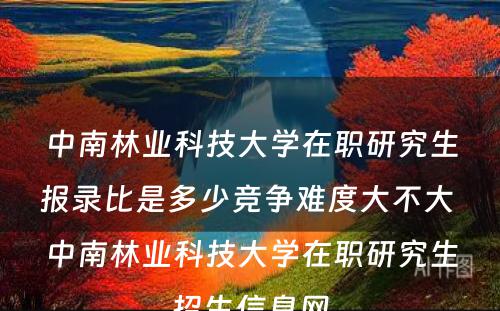 中南林业科技大学在职研究生报录比是多少竞争难度大不大 中南林业科技大学在职研究生招生信息网