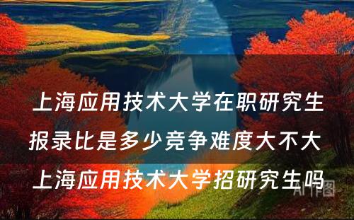 上海应用技术大学在职研究生报录比是多少竞争难度大不大 上海应用技术大学招研究生吗