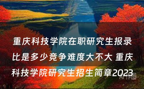 重庆科技学院在职研究生报录比是多少竞争难度大不大 重庆科技学院研究生招生简章2023