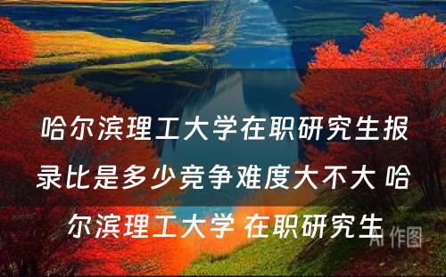 哈尔滨理工大学在职研究生报录比是多少竞争难度大不大 哈尔滨理工大学 在职研究生