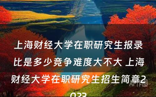 上海财经大学在职研究生报录比是多少竞争难度大不大 上海财经大学在职研究生招生简章2023