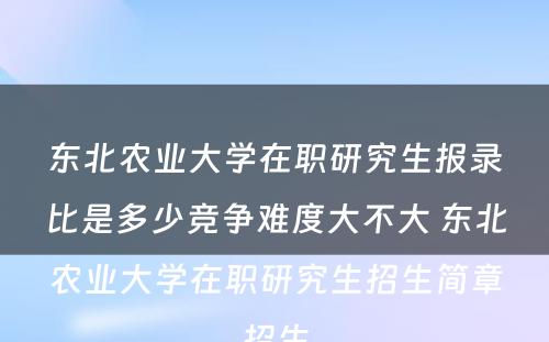 东北农业大学在职研究生报录比是多少竞争难度大不大 东北农业大学在职研究生招生简章招生