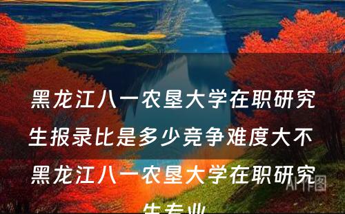 黑龙江八一农垦大学在职研究生报录比是多少竞争难度大不 黑龙江八一农垦大学在职研究生专业