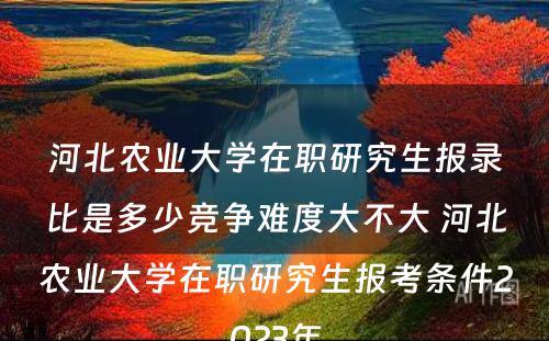 河北农业大学在职研究生报录比是多少竞争难度大不大 河北农业大学在职研究生报考条件2023年