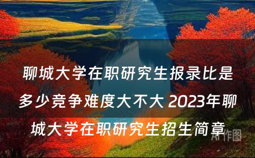 聊城大学在职研究生报录比是多少竞争难度大不大 2023年聊城大学在职研究生招生简章