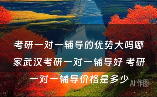 考研一对一辅导的优势大吗哪家武汉考研一对一辅导好 考研一对一辅导价格是多少