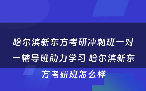 哈尔滨新东方考研冲刺班一对一辅导班助力学习 哈尔滨新东方考研班怎么样