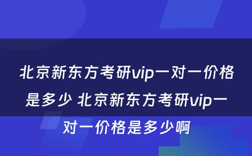 北京新东方考研vip一对一价格是多少 北京新东方考研vip一对一价格是多少啊