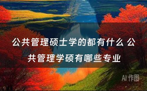 公共管理硕士学的都有什么 公共管理学硕有哪些专业