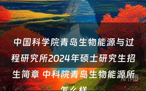 中国科学院青岛生物能源与过程研究所2024年硕士研究生招生简章 中科院青岛生物能源所怎么样