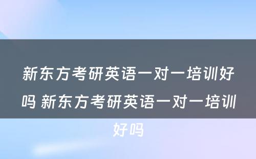 新东方考研英语一对一培训好吗 新东方考研英语一对一培训好吗