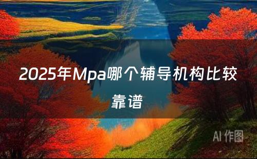 2025年Mpa哪个辅导机构比较靠谱 