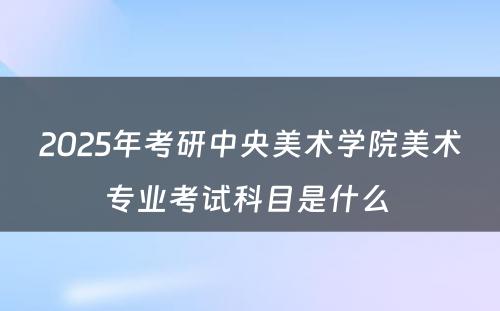 2025年考研中央美术学院美术专业考试科目是什么 