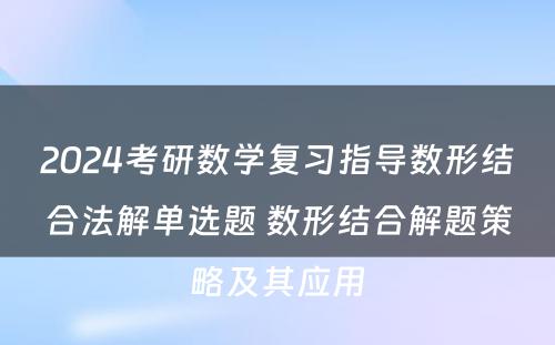 2024考研数学复习指导数形结合法解单选题 数形结合解题策略及其应用