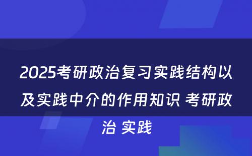 2025考研政治复习实践结构以及实践中介的作用知识 考研政治 实践