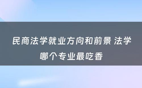 民商法学就业方向和前景 法学哪个专业最吃香