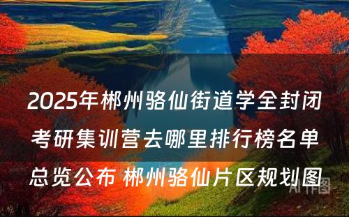 2025年郴州骆仙街道学全封闭考研集训营去哪里排行榜名单总览公布 郴州骆仙片区规划图