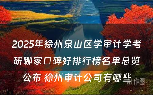 2025年徐州泉山区学审计学考研哪家口碑好排行榜名单总览公布 徐州审计公司有哪些